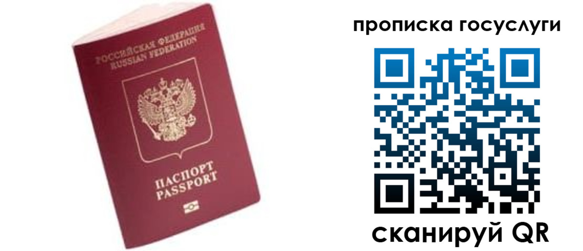 прописка в Луге